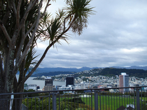 view from the Observatories, Wellington, photo by Heather Hobden